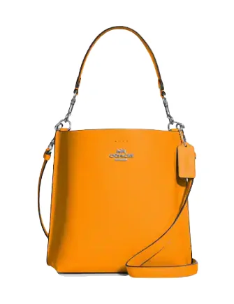 Coach Mollie Bucket Bag 22