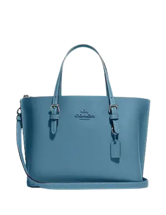 Coach Mollie Tote 25