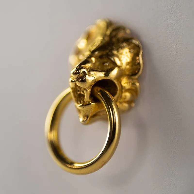 Chic, Trendy, And Affordable Jewelry Sale Lion earring