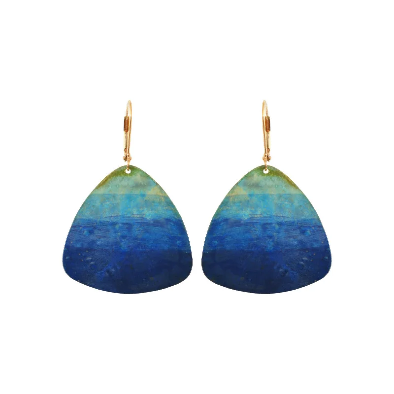 Grab Exquisite Jewelry At The Lowest Prices Watercolour Moray Earrings